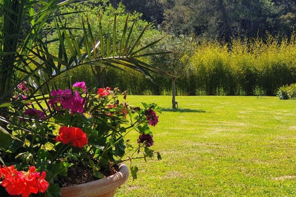Les Prairies De Fenestrelle Spa & Piscine Au Calme Aubagne Bagian luar foto