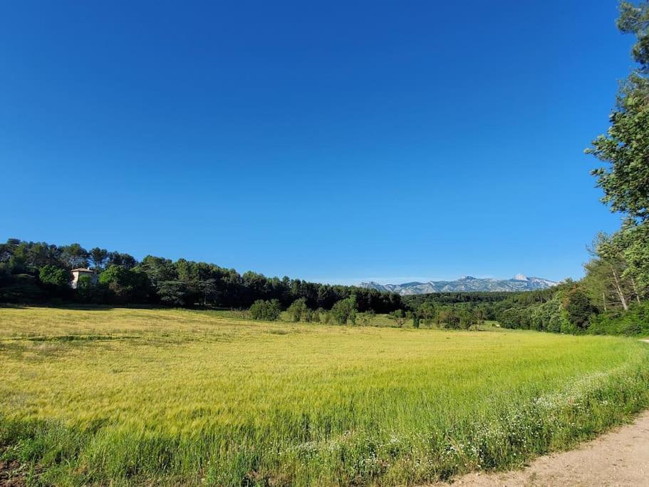 Les Prairies De Fenestrelle Spa & Piscine Au Calme Aubagne Bagian luar foto