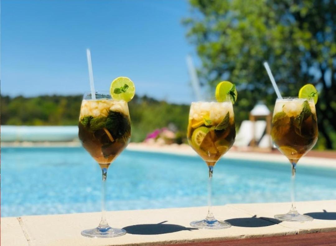 Les Prairies De Fenestrelle Spa & Piscine Au Calme Aubagne Bagian luar foto